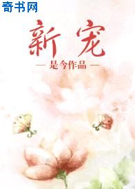 宸汐传