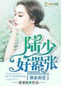 韩剧我的女友完整版