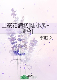 女忍1破碎的公主