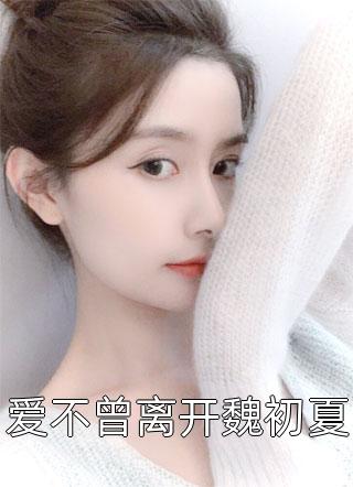 4P一女三男前后夹激