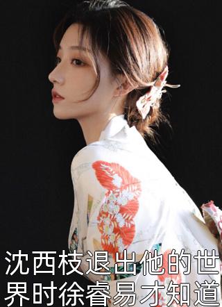 狐妖小红娘之白衣剑客