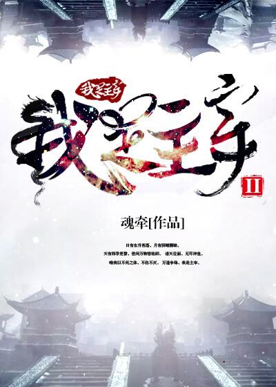 交换的一天中文版