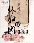 变形金刚6