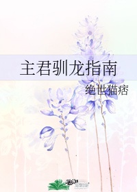 拳皇夏尔米