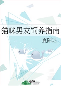 日本天堂a免费视频播放