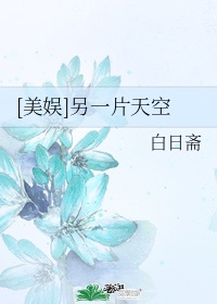 小诗的公交车日记1一15文