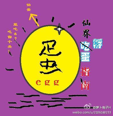 最好看的2024年的中文字幕