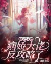 奈何流年枉情深完整版