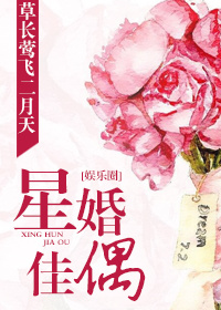 上错花轿嫁对郎免费观看