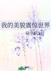 变装合集小说