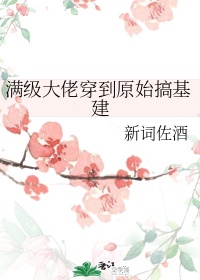 金鳞有声小说在线收听