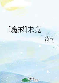 杀破狼1