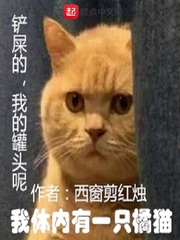 广西颗粒振动筛生产厂