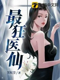 伦理女律师的堕落2