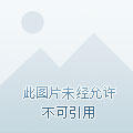 榴莲成版人app