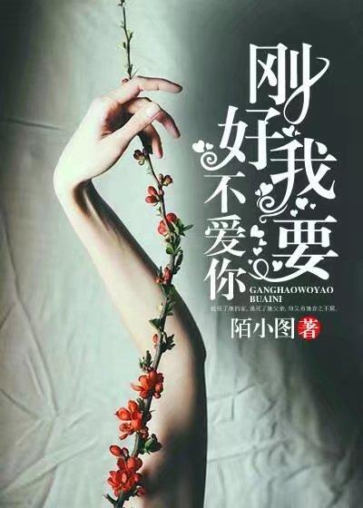 二婚老公是师长