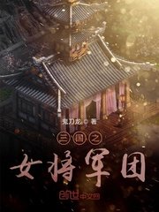 国产精品毛片高清在线完整版