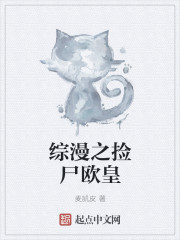 绝命律师第六季第六集