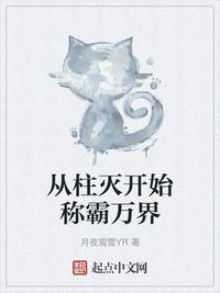 官场风流献身小说