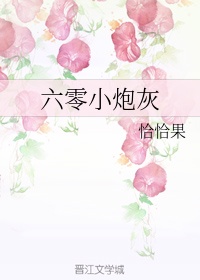 征服四部曲全文无删减