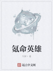 我是全公司的发泄玩具在线读