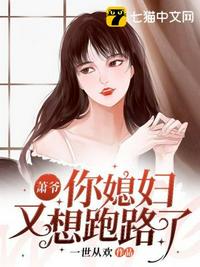 夜少的二婚新妻