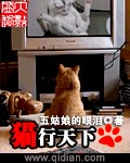 精品一二三四区