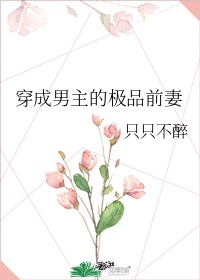 链条传动有什么组成