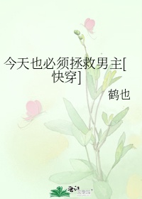 夫妻成长日记动画