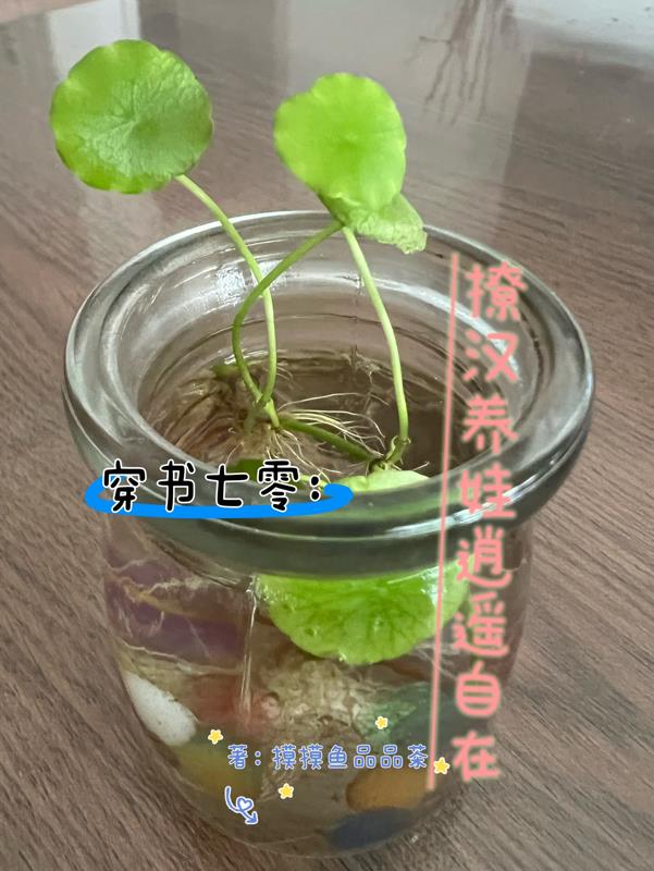 资源站每日更新