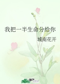 林志玲小说