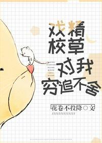 男女主每章都做h的古言宠文