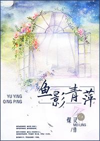 变形金刚6