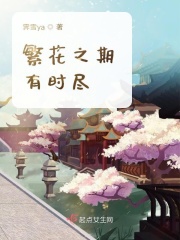 龙之谷魔法师转什么好