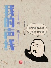 龙珠af动画在线观看