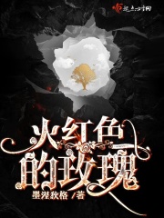 乐可BY金银花露原文