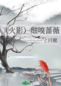 变形金刚7免费观看