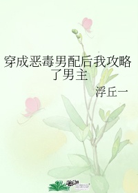 干了娄晓娥秦淮茹