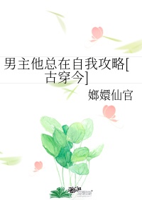 李成敏r级