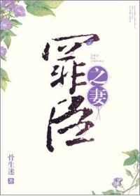 50挖掘机价格表