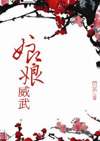 三国梦想王元姬无惨后篇