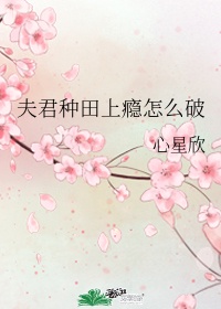 芒果导航