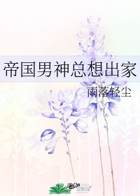 拳皇夏尔米