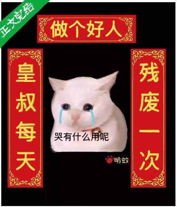 就要插