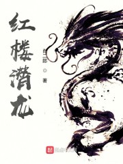 总裁在上漫画免费下拉