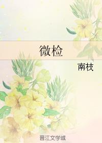 宝葫芦的秘密故事全文电子书