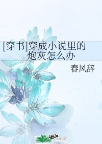 9900lu改成什么了