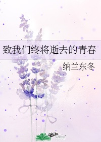 赵晓东小说主角