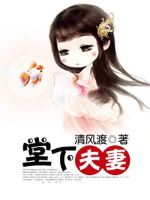 极品女婿