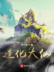 藏海花1—36集电视剧免费观看